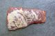 Sirloin Flap (Bavette)